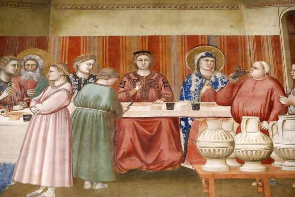 Scrovegni Şapeli. Giotto 'dan Fresco, 14. yüzyıl. Cana 'daki düğün. Padua. İtalya. 