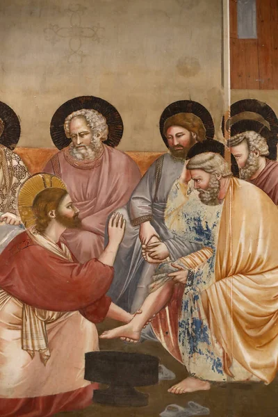 Scrovegni Chapel Фреско Джотто Століття Святий Четвер Умивання Ніг Ісус — стокове фото