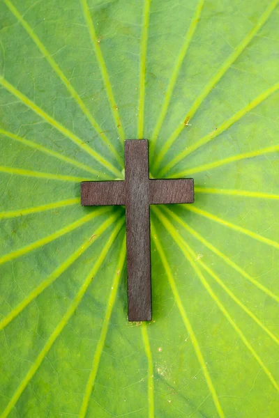 Křesťanský Kříž Zeleného Lotosu — Stock fotografie