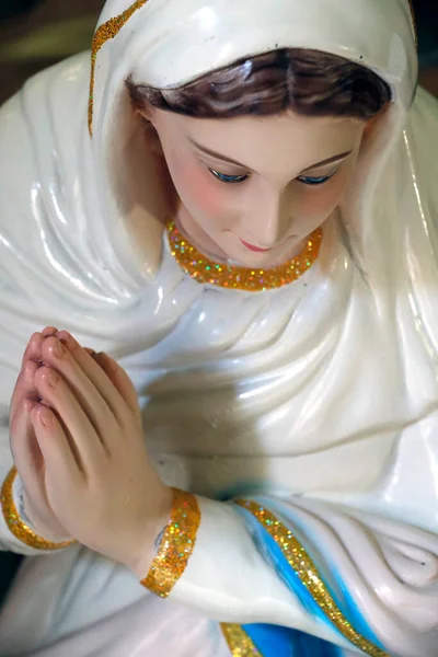 Iglesia San Francisco Javier Estatua Virgen María Ciudad Chi Minh —  Fotos de Stock