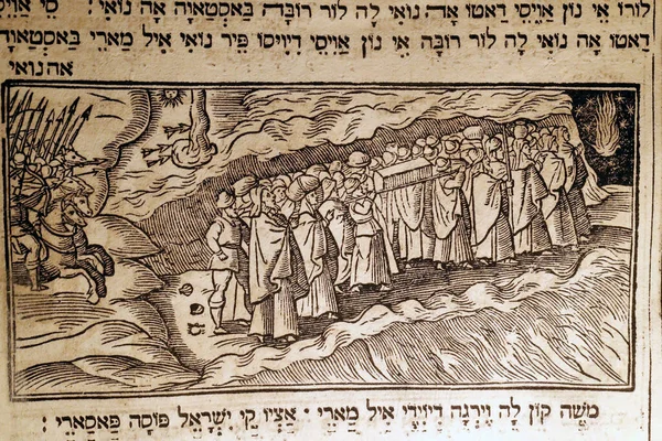 Εβραϊκό Μουσείο Της Βενετίας Σελίδα Από Haggadah Κιβωτός Στις Όχθες — Φωτογραφία Αρχείου