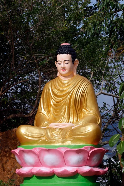 汉禅佛教寺院 释迦牟尼佛坐在菩提树下静坐 达拉特 — 图库照片