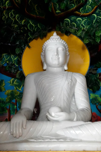 Life Buddha Siddhartha Gautama Soc Lok Buddhist Temple Chau Doc — 스톡 사진