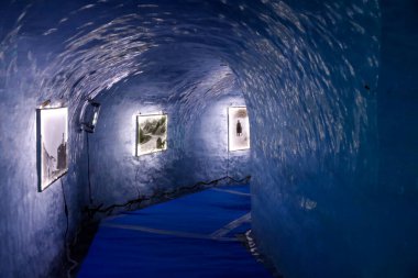 Fransız Alpleri. Mont Blanc massif. Mer de Glace Buzul Mağarası, Chamonix. Fransa. 