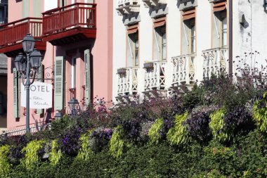 Fransız Alpleri 'ndeki Saint Gervais les Bains köyünde renkli çiçekler. Fransa. 