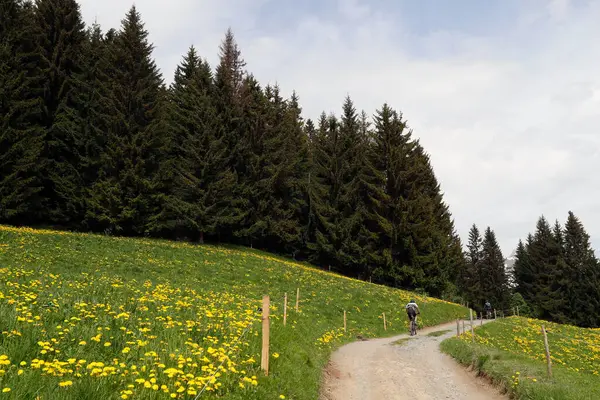 Dre Dans Darbon Corrida Mountain Bike Nos Alpes Franceses Ciclista — Fotografia de Stock