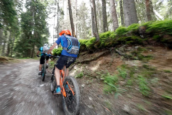 Dre Dans le l 'Darbon: Fransız Alplerinde dağ bisikleti yarışı. Bisikletçiler. Fransa.