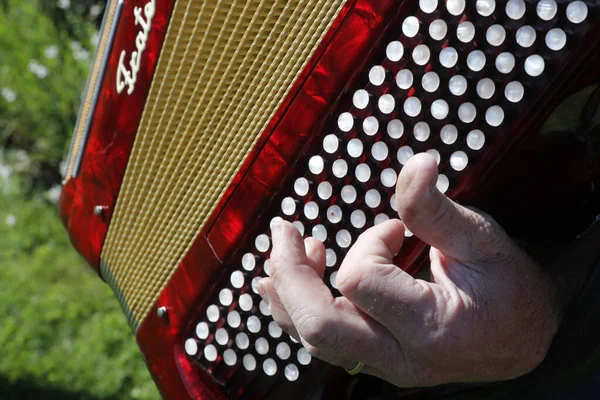 Accordion Folk Band Music Player Close Hand France — ストック写真