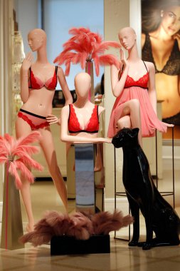 Sevgililer Günün kutlu olsun. 14 Şubat 'ta. Süslü iç çamaşırı butiği. 