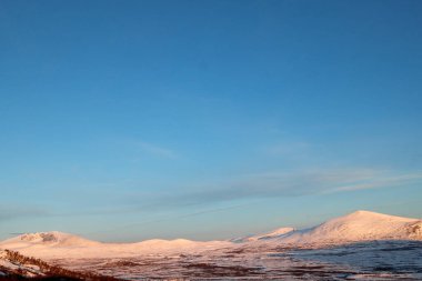 Sunndalsfjella Ulusal Parkı. Norveç. 