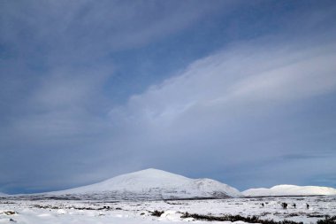 Sunndalsfjella Ulusal Parkı. Norveç. 