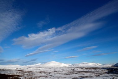 Sunndalsfjella Ulusal Parkı. Norveç. 