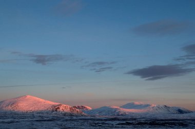 Sunndalsfjella Ulusal Parkı. Norveç. 