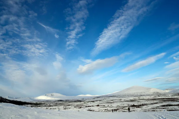 Sunndalsfjella Ulusal Parkı. Norveç. 