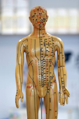 Geleneksel Çin Eczanesi. Singapur. 