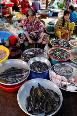 Balık pazarı. Taze balık satan kadınlar. Ha Tien. Vietnam. 