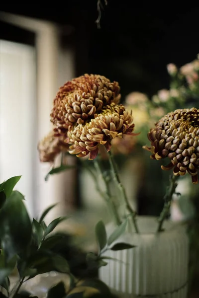 Fleurs Chrysanthème Dans Vase — Photo