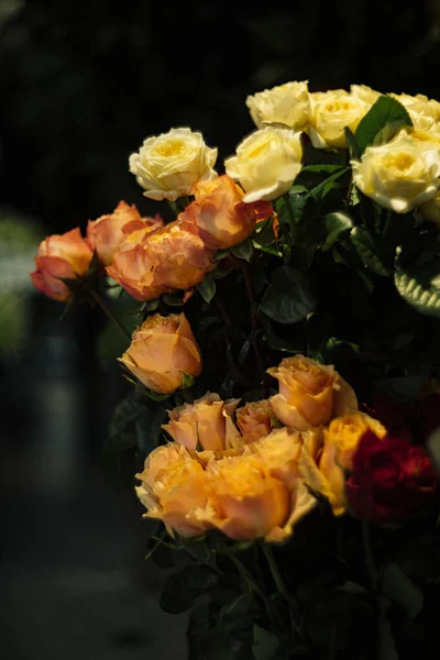 Персиковые Сливочные Розы Вазе — стоковое фото