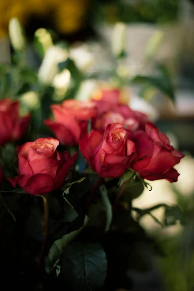 Милые Розовые Розы Вазе — стоковое фото