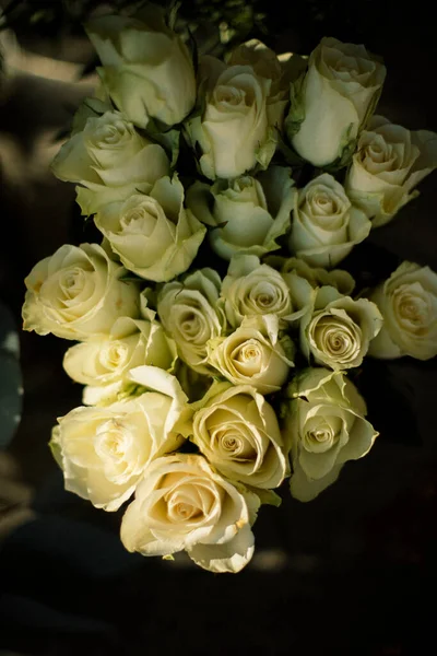 Белые Розы Вазе Над Картиной — стоковое фото