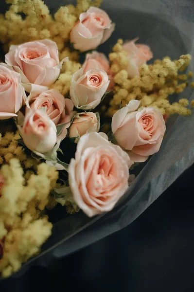 Розовые Нежные Розы Минималистском Дизайне — стоковое фото