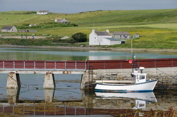 Barco Pesca Atracado Uma Doca Uma Manhã Ainda Verão Orkney — Fotografia de Stock