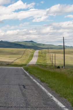 A remote stretch of road lined by electricity poles in rural Montana.