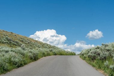 Cresting the hill after travelling up a winding road.