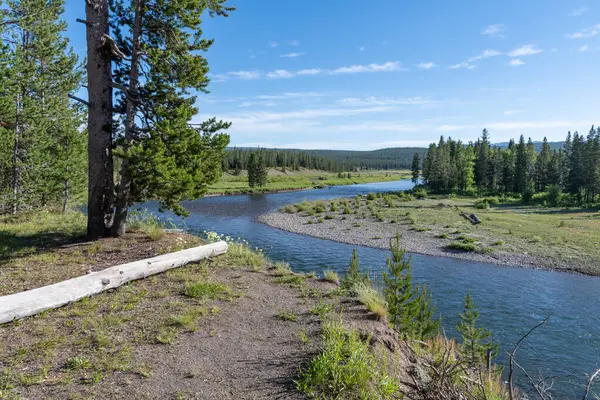 View Snake River South Entrance Yellowstone National Park — Stockfoto