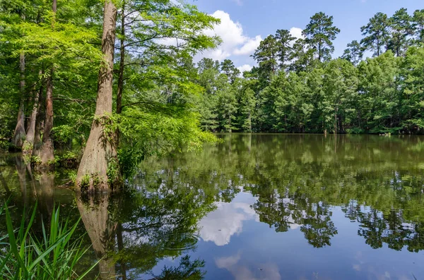 Pond Stahl Preserve Spring Creek Greenway Trail Spring Texas — Stock Photo, Image