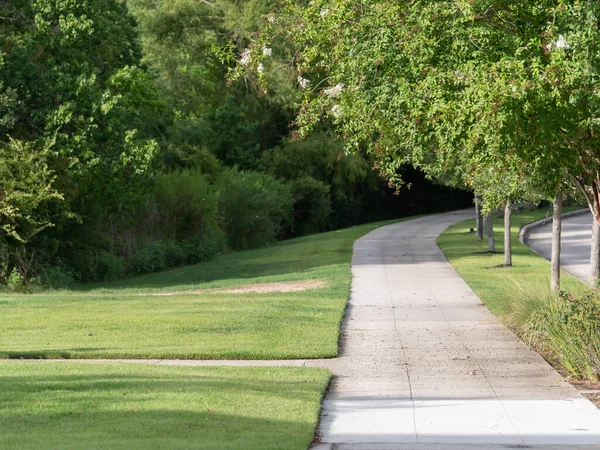 Sidewalk Town Surrounded Grass Lush Green Foliage Trees Shrubs — Stock Photo, Image