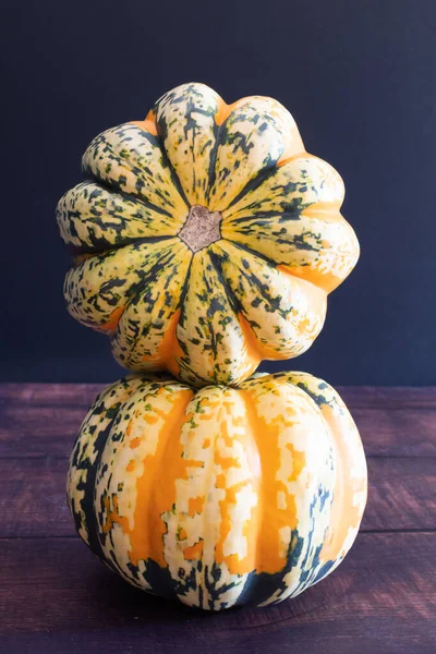 Två Färgglada Vinter Squash Skördas Från Trädgården — Stockfoto