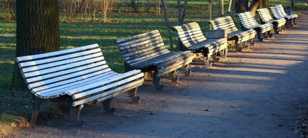 Fila Panchine Legno Bianco Parco Autunnale Vuoto — Foto Stock