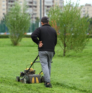 Bir park çalışanı çim biçme makinesiyle çimleri biçiyor, Rossiyskiy prospect, Saint Petersburg, Rusya, Ağustos 2020