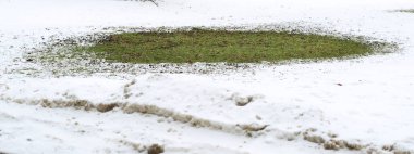 Beyaz karların arasında eriyen yeşil çimenler