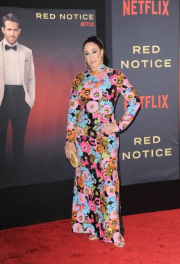 Dany Garcia Netflix 'in 