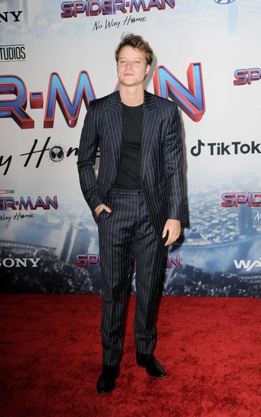 Blake Gray Pemutaran Perdana Spider Man Way Home Los Angeles — Stok Foto