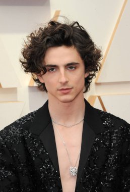 Timothee Chalamet, 27 Mart 2022 'de ABD' nin Los Angeles kentindeki Dolby Tiyatrosu 'nda düzenlenen 94..