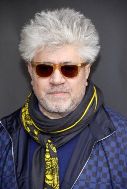 Pedro Almodovar at the American Cinematheque's 2012 Globe Awards Foreign-Language Nominee Event held at the Egyptian Theater in Hollywood, USA on January 15, 2012.