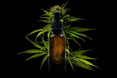 Marihuana bitkisinin önünde üzerinde esrar yağı bulunan cam şişe.