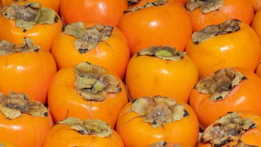 İncir gurubu yaklaşıyor.