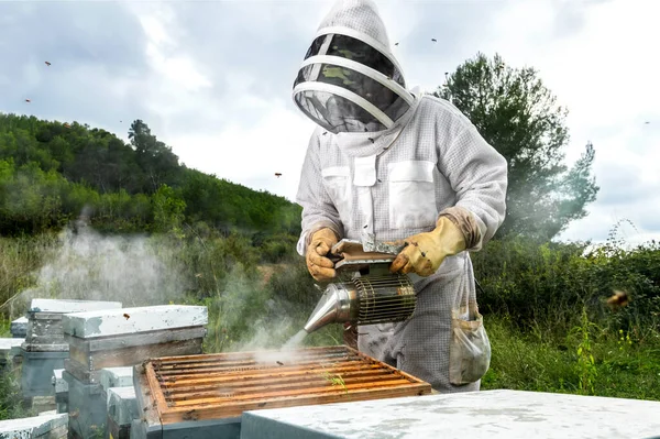 養蜂家は喫煙者で巣の上に煙を投げます — ストック写真