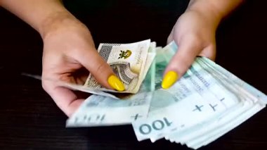 Kadın parayı sayıyor. Kadın eli kapalı, nakit para sayar. Para, Ödeme, Finans, Yatırım ve Başarı, Kavram. Bankacılık kurumunda döviz değişimi