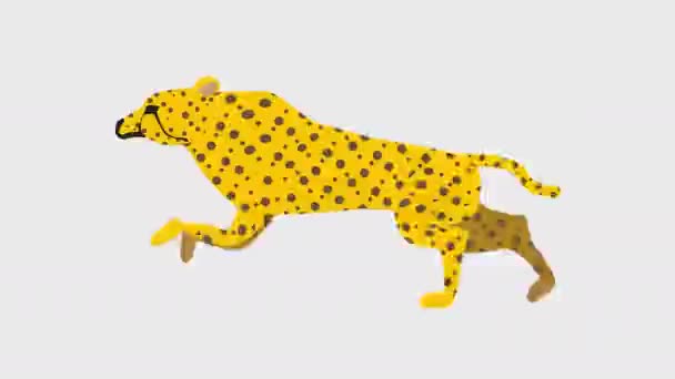 Animation Illustration Running Cheetah Resolution Background Transparency — Stock Video