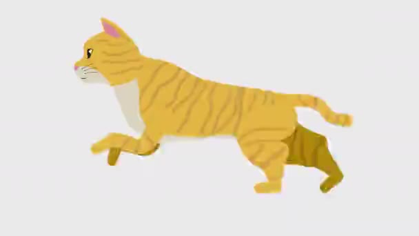 Hardlopen Cat Illustration Loop Animatie Resolutie Achtergrond Transparantie — Stockvideo