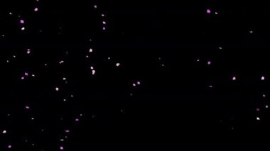 Çırpınan kiraz çiçekleri arkaplan grafikleri 4K video (arkaplan şeffaf)