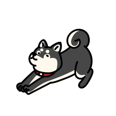 Basit ve şirin bir Shiba Inu 'nun tasviri