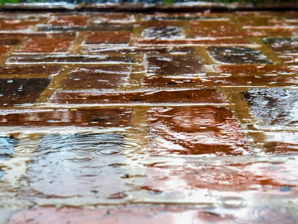 Close Photography Rain Falling Wet Ceramic Floor Country House Town — Stock Photo, Image