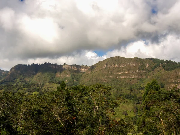 Панорама Андійських Гір Лісів Поблизу Міста Чінавіта Центральна Колумбія — стокове фото