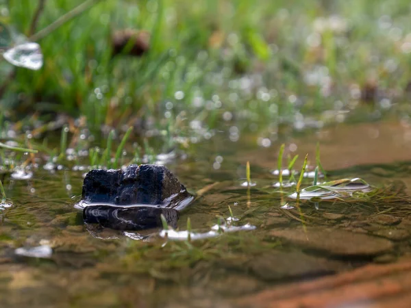 Makro Fotografia Kamienia Kałuży Deszczowej Zrobione Farmie Pobliżu Miasta Villa — Zdjęcie stockowe